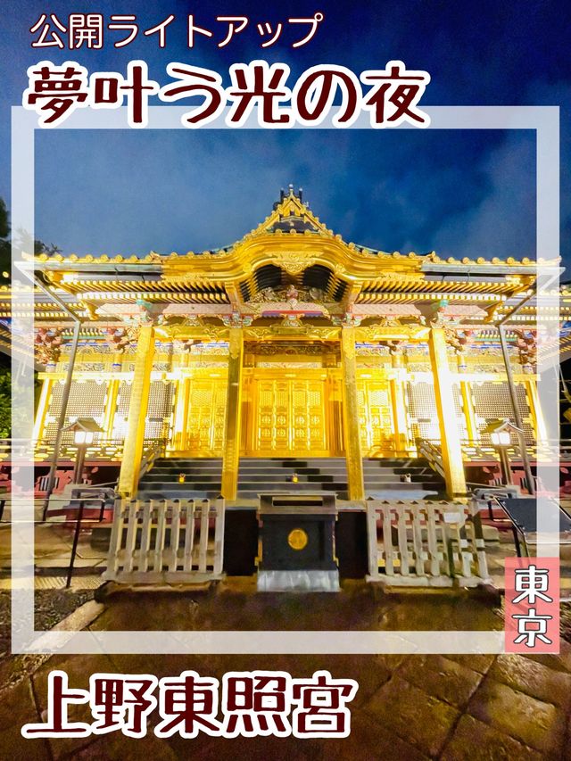 【東京都/上野東照宮】夢叶う光の夜
