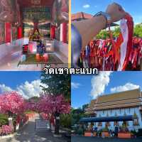 ทำบุญหย่อนใจที่วัดเขาตะแบก