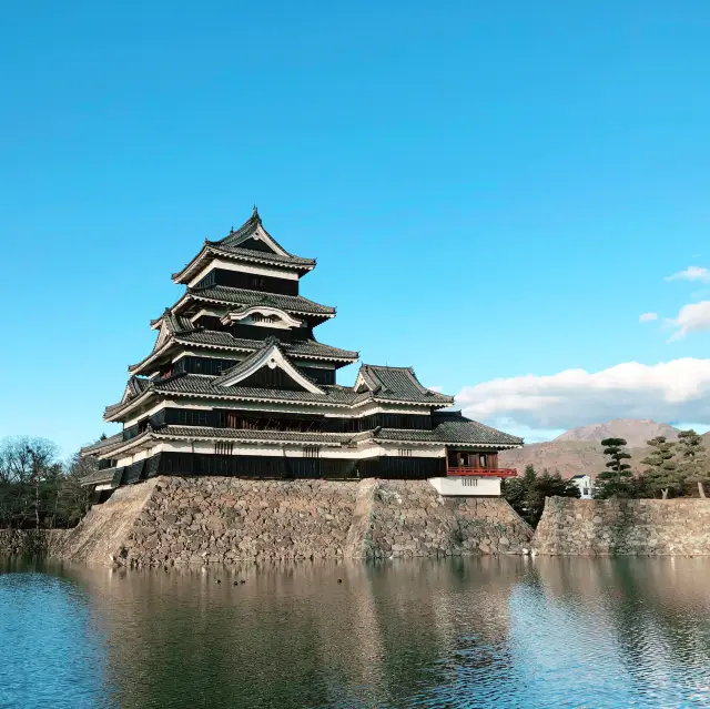 🏯中部長野松本城：國寶之城，傳統祭典🏯