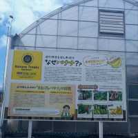 群馬前橋市道の駅・食＆遊び＆温泉最高!!