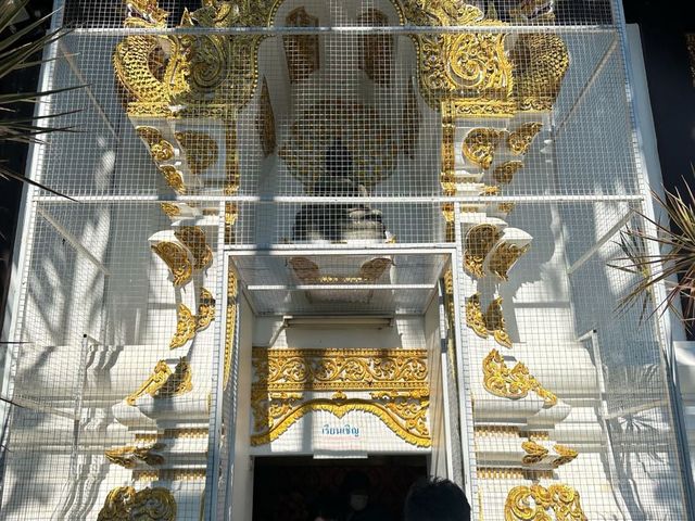 ชวนมามูเสริมความปังความมั่งคั่งที่วัดป่าแดด