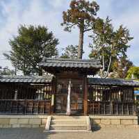 近江八幡古城周邊老神社【八幡神社】