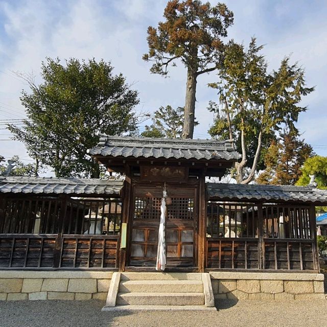 近江八幡古城周邊老神社【八幡神社】