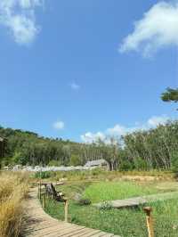 โอบบ์ Farm & Cafe คาเฟ่ที่โอบกอดไปด้วยธรรมชาติ
