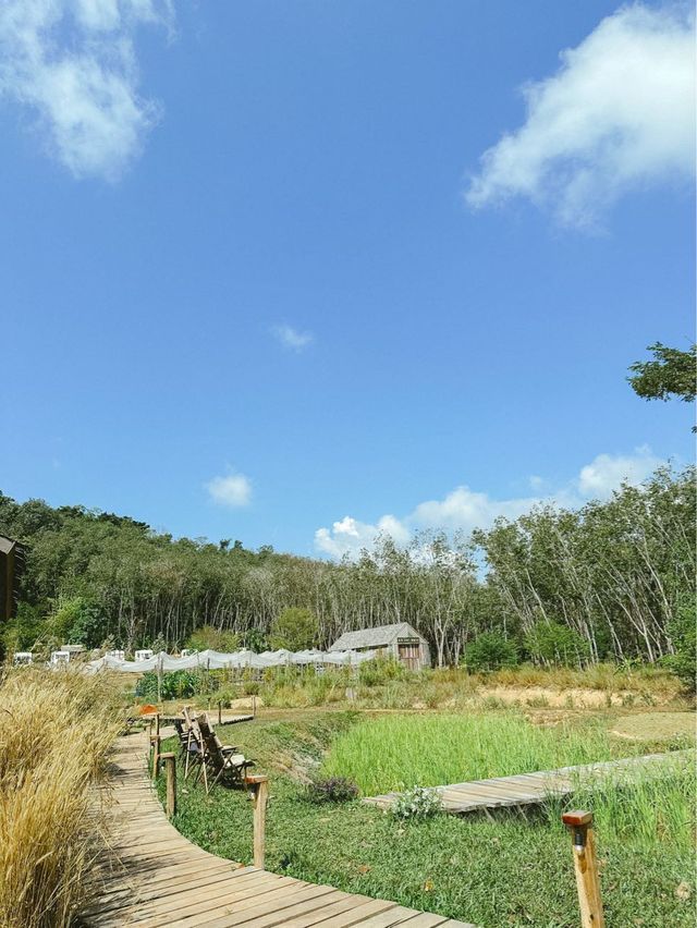 โอบบ์ Farm & Cafe คาเฟ่ที่โอบกอดไปด้วยธรรมชาติ