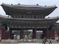 A must visit while in Seoul 