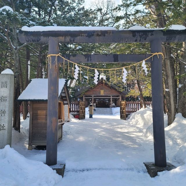 일본 삿포로를 여행 할 때 들려보면 좋을 ❤️홋카이도 신궁 北海道神宮❤️