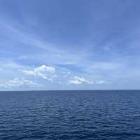 มหาสมุทรสุดขอบฟ้า 🏝️🐢 คิดถึงเกาะเต่า 