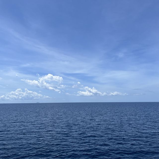 มหาสมุทรสุดขอบฟ้า 🏝️🐢 คิดถึงเกาะเต่า 