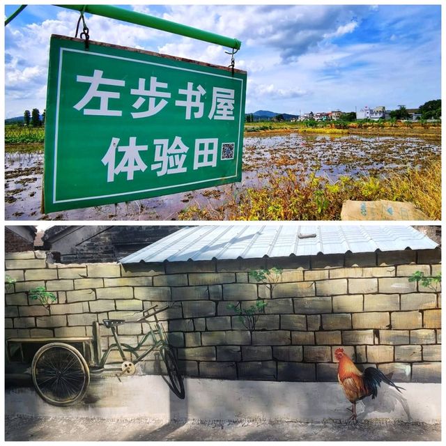 中山都有壁畫村？
