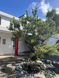 Easy Hike in Shatin - Tao Fung Shan