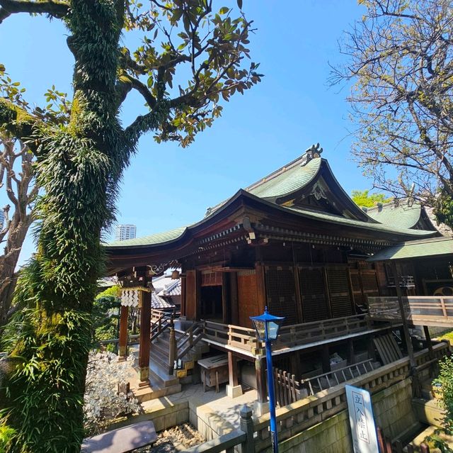 東京必到景點之上野恩賜公園