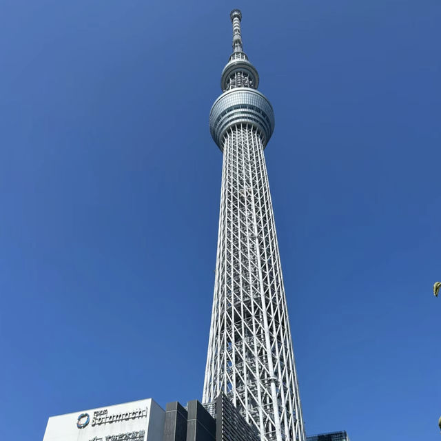 🌟 東京之顛@晴空塔🌟