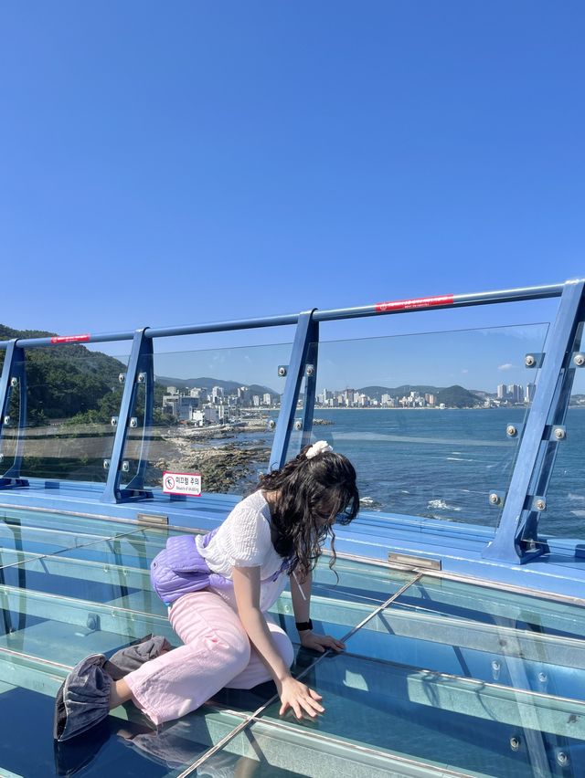 바다 위를 걸을 수 있는 다릿돌 전망대🔭