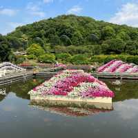 Beautiful Ashikaga flower park