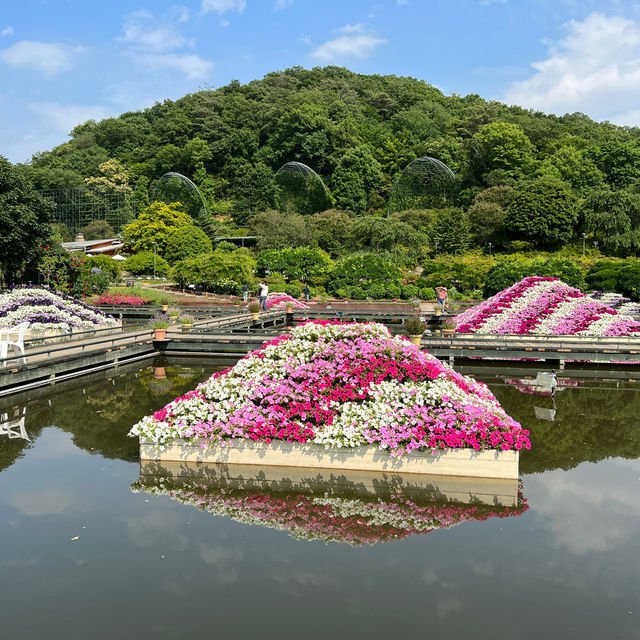 Beautiful Ashikaga flower park