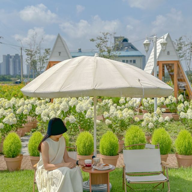 유럽수국 가득한 토성마을의 정원🍃💚