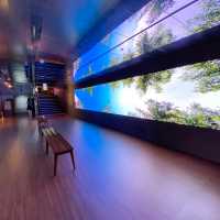 Amazing installation in Korea