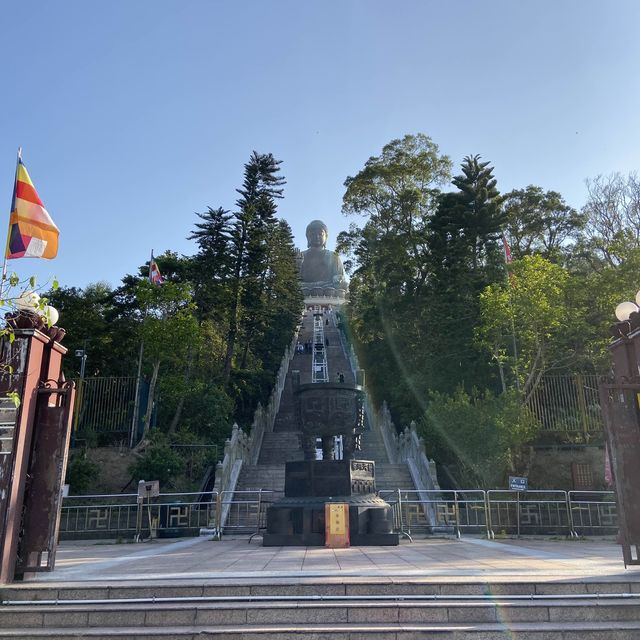 香港🇭🇰 ｜挑戰香港第二高峰⛰️ - 鳳凰山