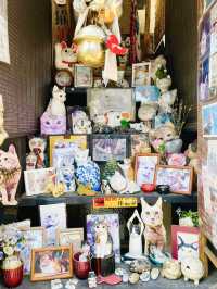 【東京都/ねんねこ神社】谷中にある猫だらけの神社