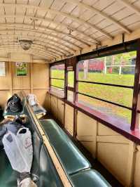 호그와트행 증기 기관차? 호주 퍼핑빌리🚂