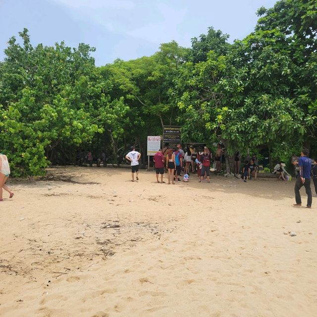 Out Island Day Tour from Ko Samat