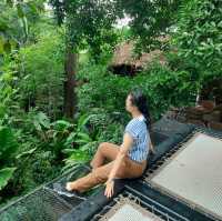 คาเฟ่ฟีลป่าในภูเก็ต