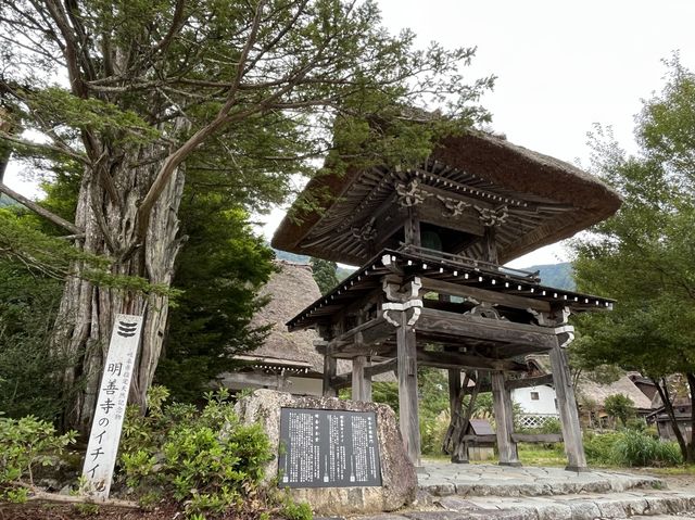 造訪世界遺產 @ 白川鄉合掌造聚落