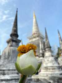 📍“เกิดมาชาติหนึ่งขอได้กราบพระบรมธาตุเมืองคอน”