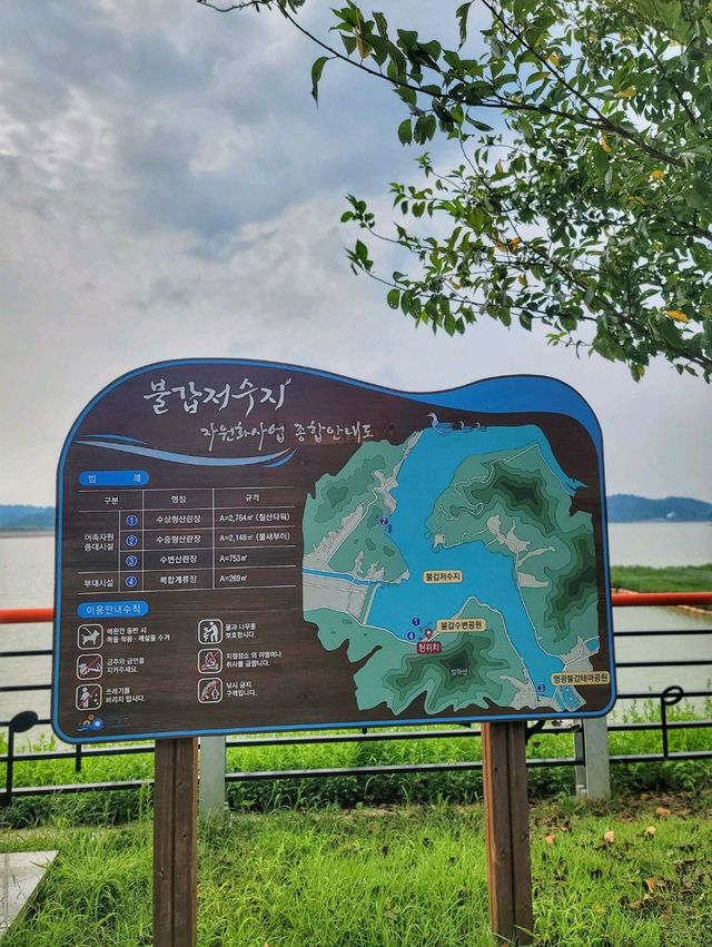 불갑저수지 보며 힐링하는 영광여행코스🩵