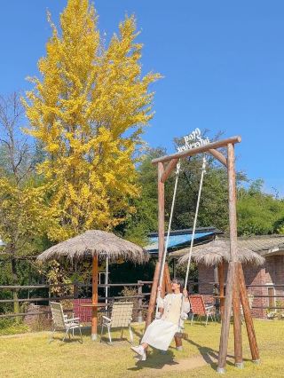 Con dấu phỏng vấn cà phê phá vỡ, ở lại phỏng vấn villa de u🌰🤎