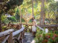 สวนป่าแม่แจ่ม อ.แม่แจ่ม จ.เชียงใหม่