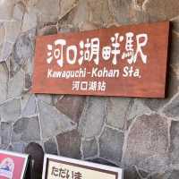 🌄天上山公園🎡絕美富士山🗻