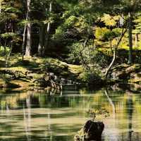 苔寺🕉充滿意境的「西芳寺」