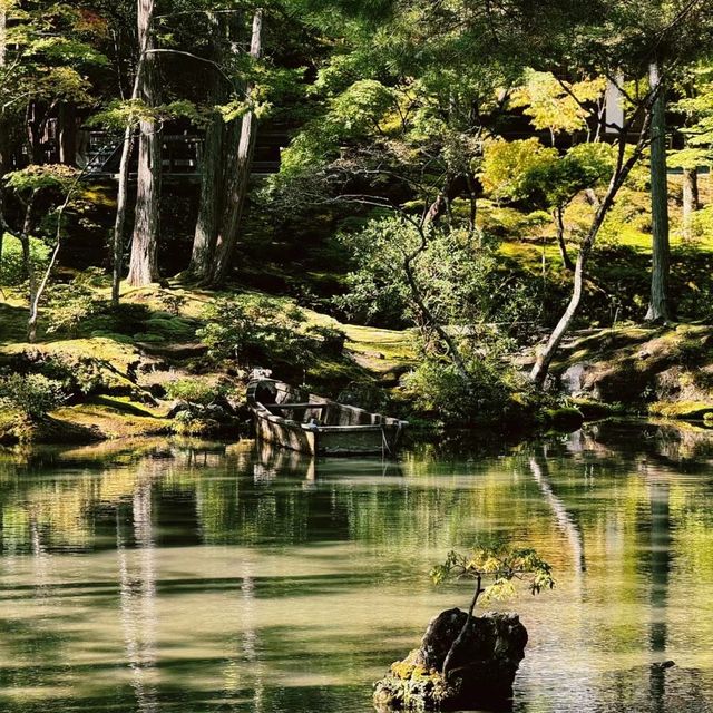 苔寺🕉充滿意境的「西芳寺」