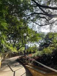 秋天必去的好去處，九龍公園！🍂🍁