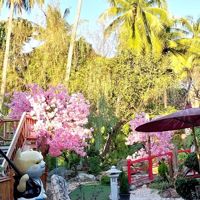 OKOKU CAFE