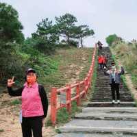 虎山 行