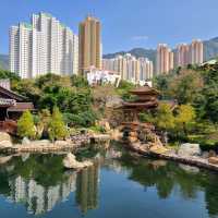 鬧市中的古園：南蓮園池