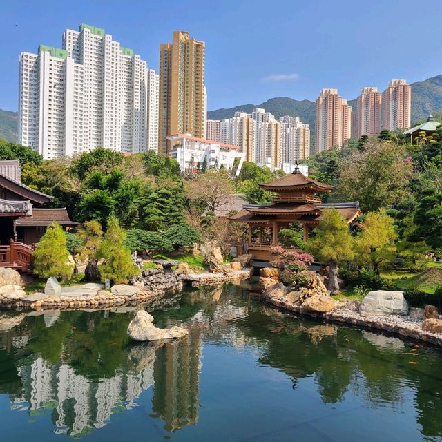 鬧市中的古園：南蓮園池