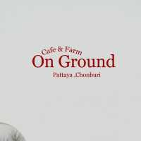 On Ground Pattaya  คาเฟ่ลับในสวน 