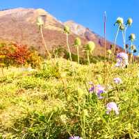晴れたら景色最高【大山まきばみるくの里】鳥取