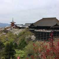 京都地標清水寺