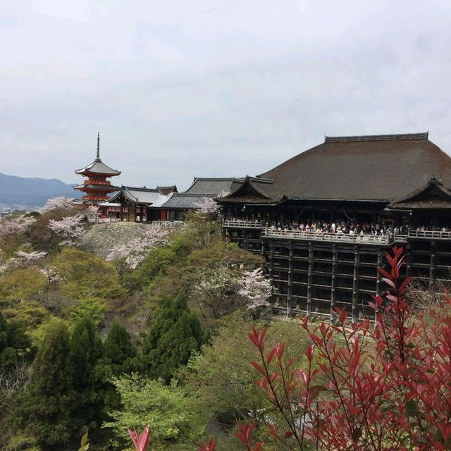 京都地標清水寺