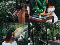 เหนือโตนคาเฟ่ คาเฟ่ลับภูเก็ต
