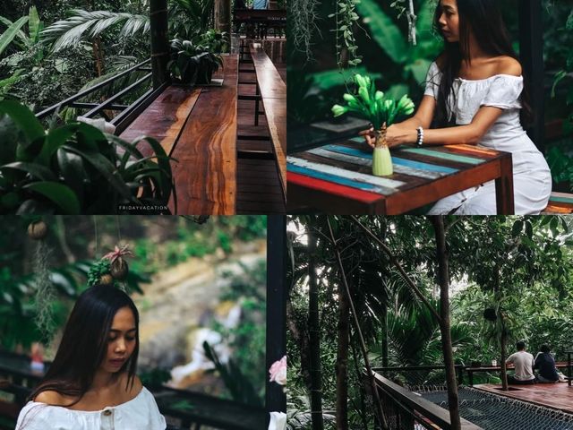 เหนือโตนคาเฟ่ คาเฟ่ลับภูเก็ต