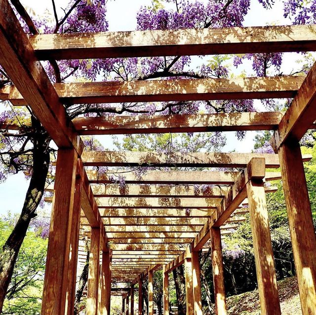 羽根谷だんだん公園