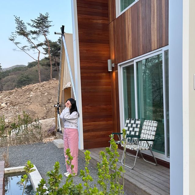 벚꽃피는 시즌에 가야하는 벚꽃맛집 숙소🌸