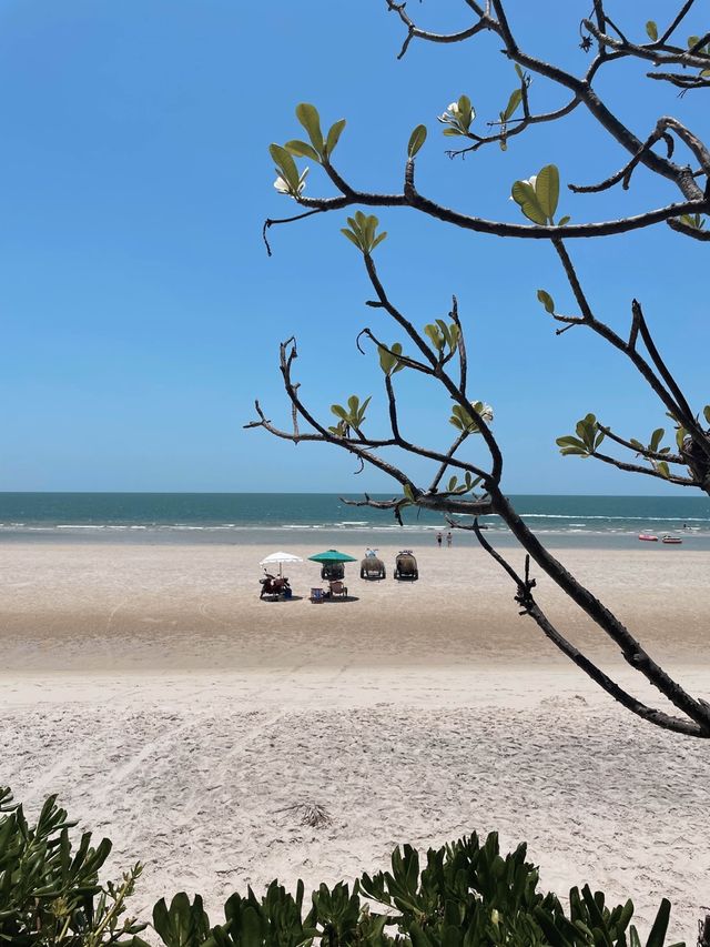 Marrakesh Huahin Beach Resort 