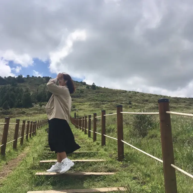 제주 푸른 오름 추천 🌳 백약이 오름